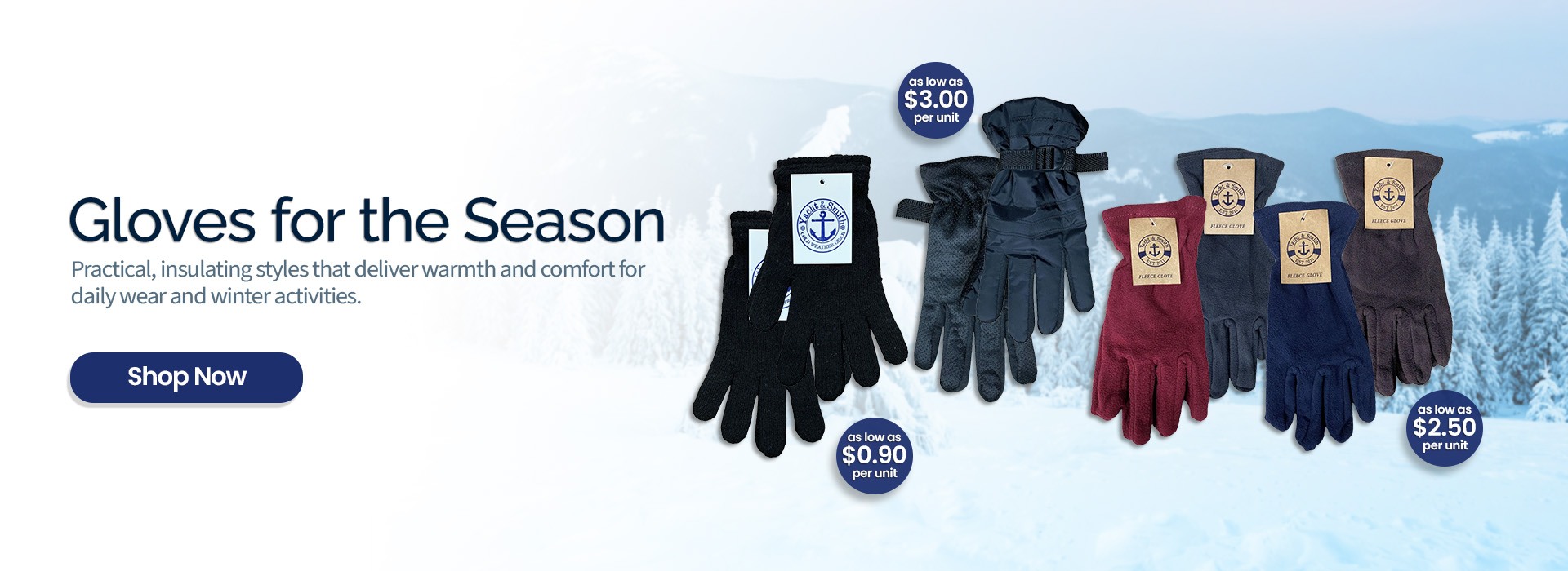 WSD Winter Gloves 2025