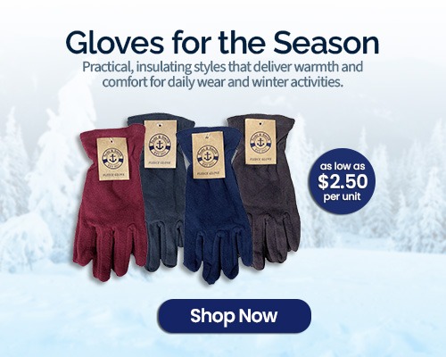 WSD Winter Gloves 2025