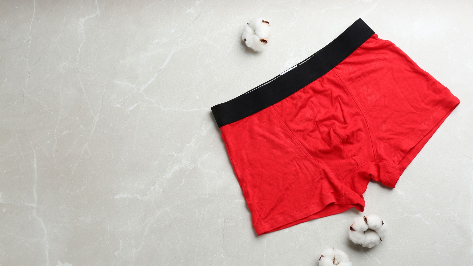 3 Reasons to Get Fruit of the Loom Basics in Bulk