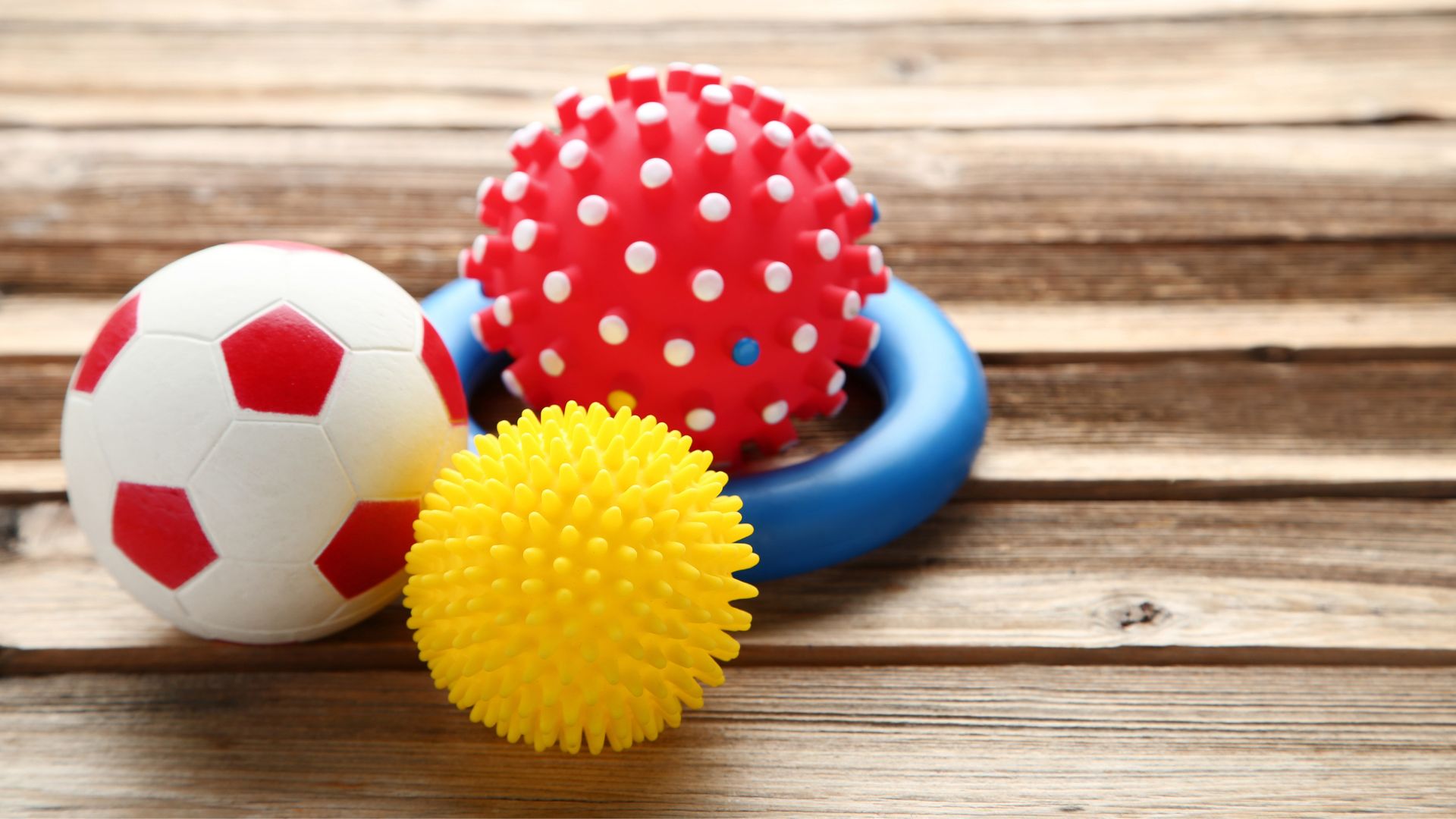 Pet Toys Your Pandemic Puppies Are Going to Love
