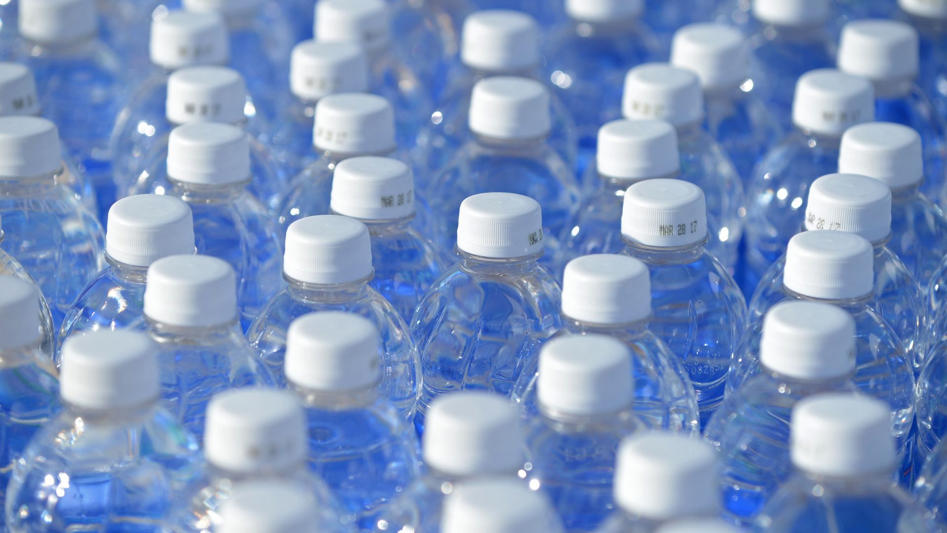 Why Its Best to Buy Water Bottles in Bulk