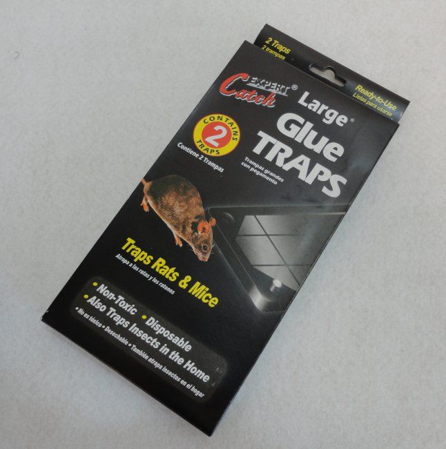 72 Wholesale 2 Large Glue Traps at