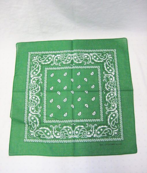 84 Wholesale Novelty Bandanas Paisley Cotton Bandanas In Green at