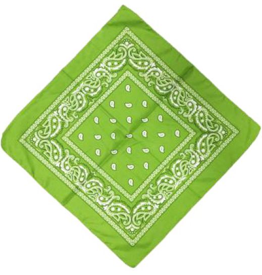western neck bandana
