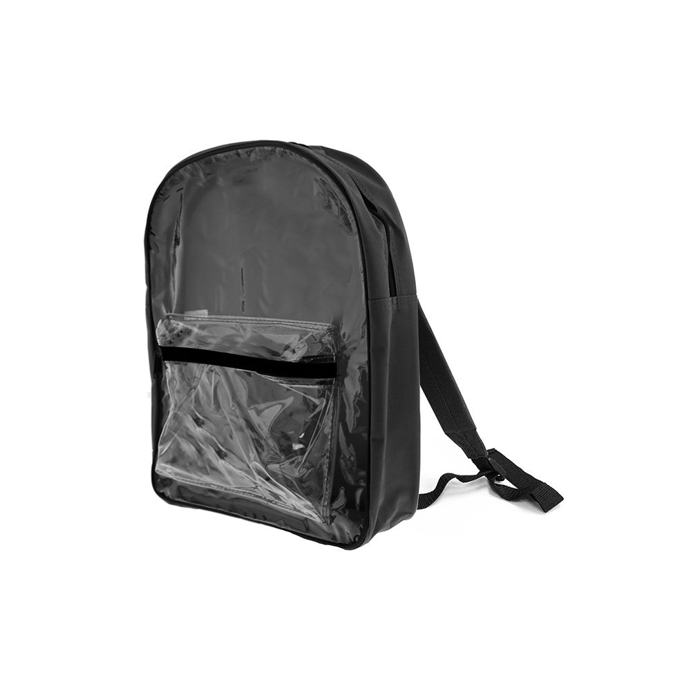 aesthetic clear backpack