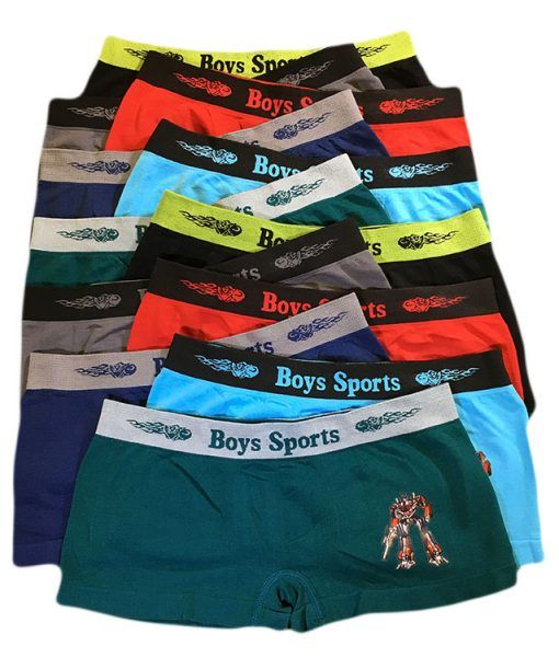 252 Wholesale Boys Seamless Boxer Shorts Assorted Color In Large at